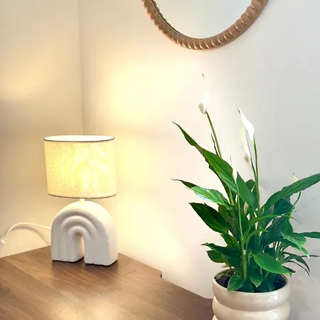 La Parenthese Champenoise - Cozy, Netflix & Desk * Reims